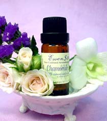 Chamomile Roman VXo (10 @)