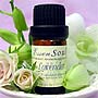 Lavender 40/42 Essential Oil (10ml)